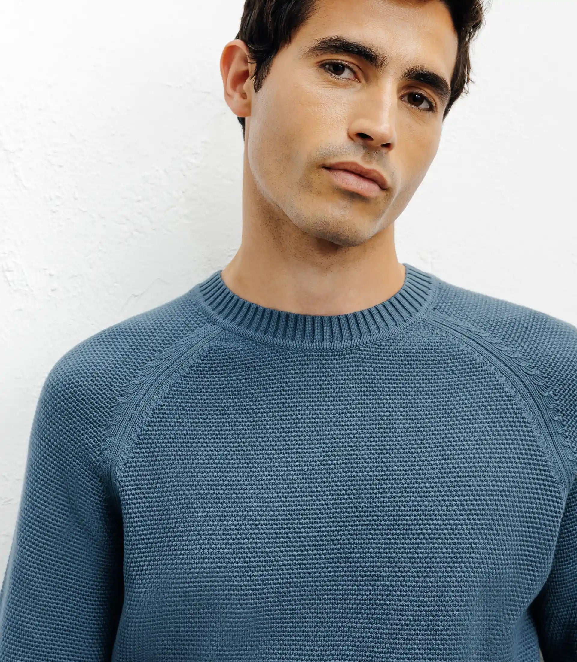 Pull col rond jeux de points canard - IZAC