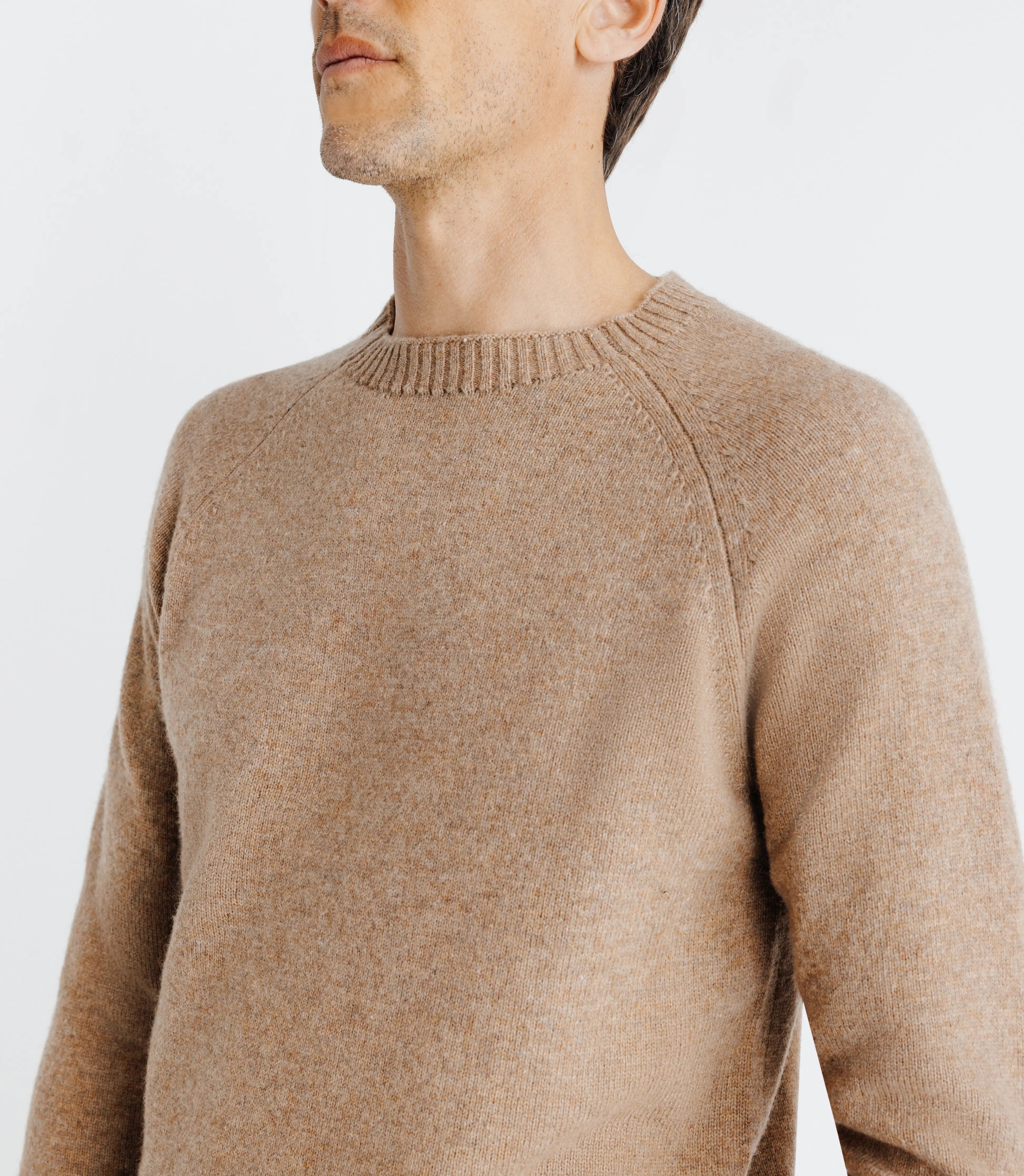 Pull lambswool col rond camel - IZAC