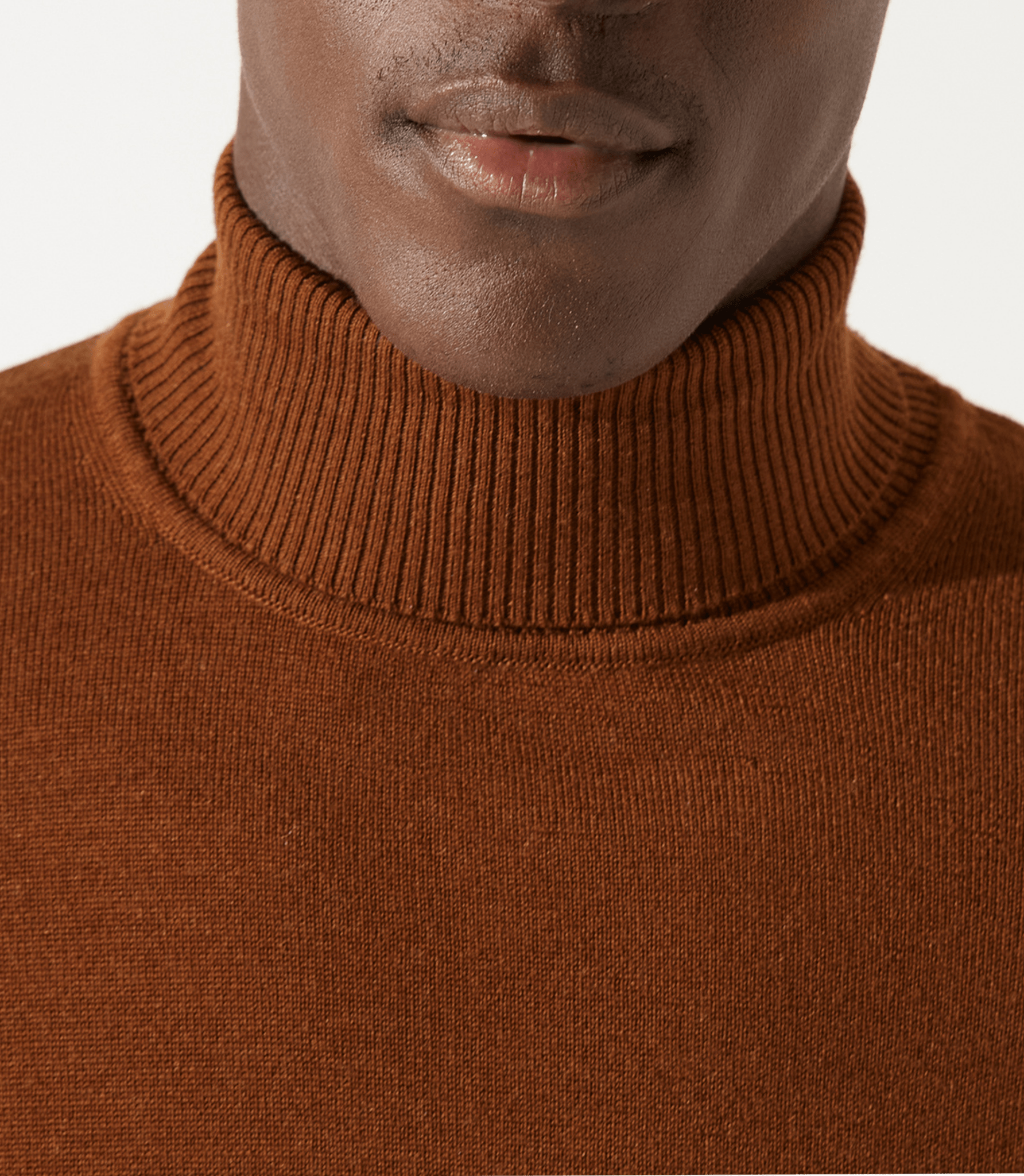 Pull col roulé marron 100% mérinos - IZAC