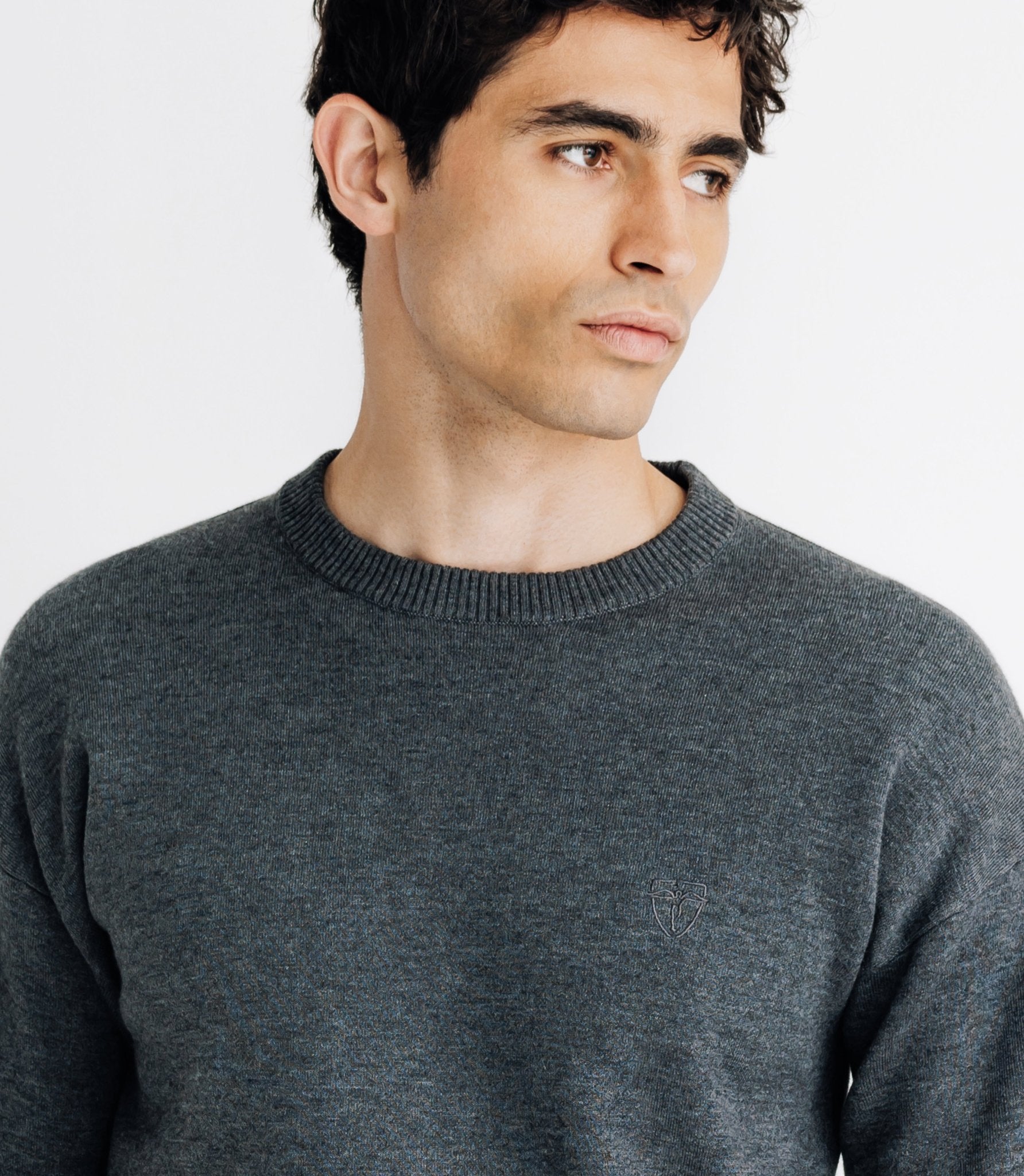 Pull sweat col rond anthracite - IZAC